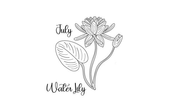 July Water Lily Line Art: Crafts & Designs Review