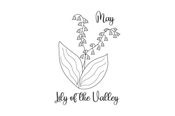 May Lily Line Art: Crafts & Designs for Branding