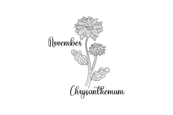 November Chrysanthemum Line Art: An Embroidery Review