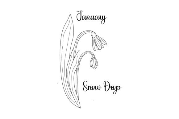 Snowdrop Line Art: January Crafts & Designs Asset Review